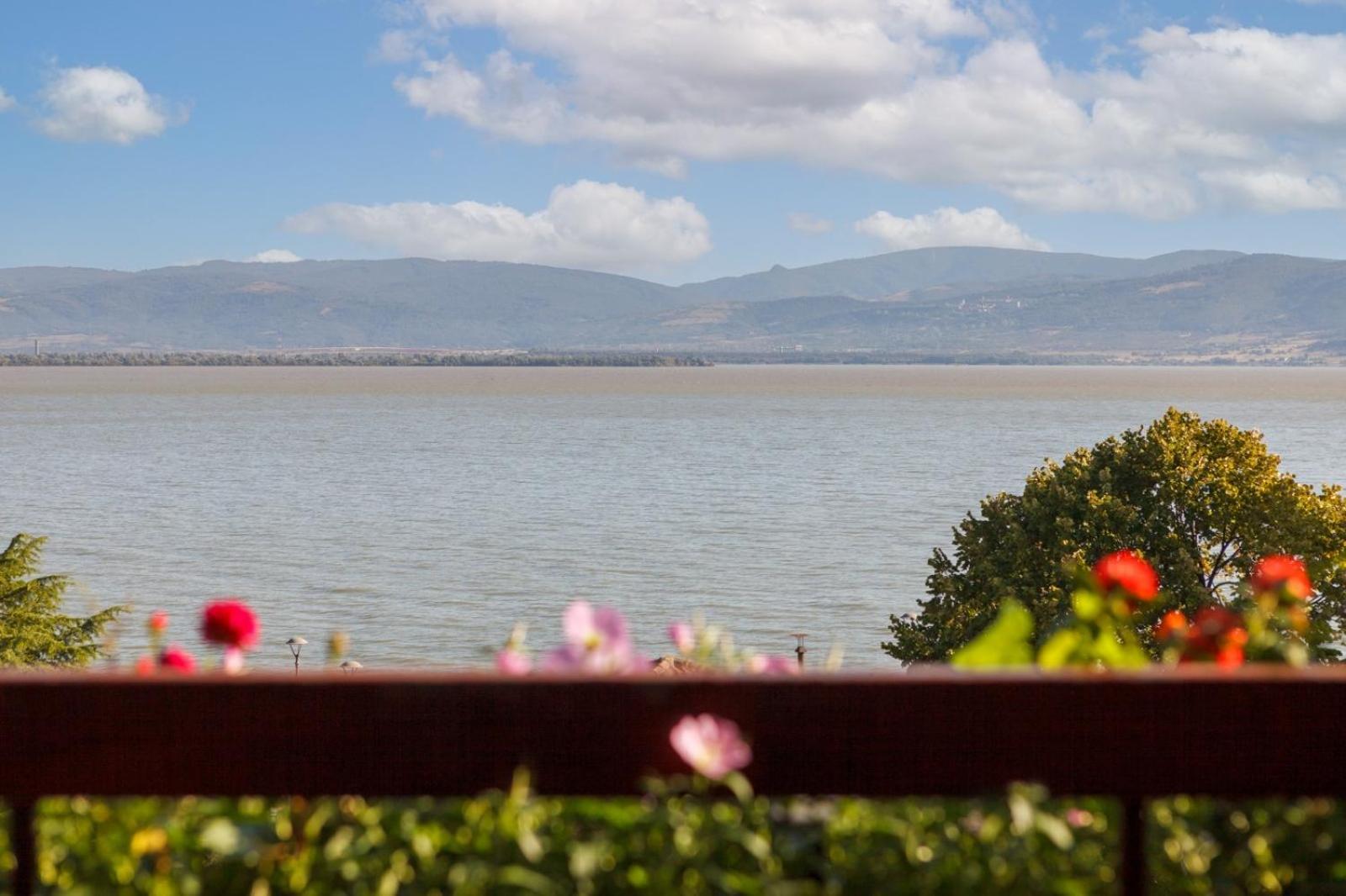 Apartment Amore Mio Golubac Buitenkant foto
